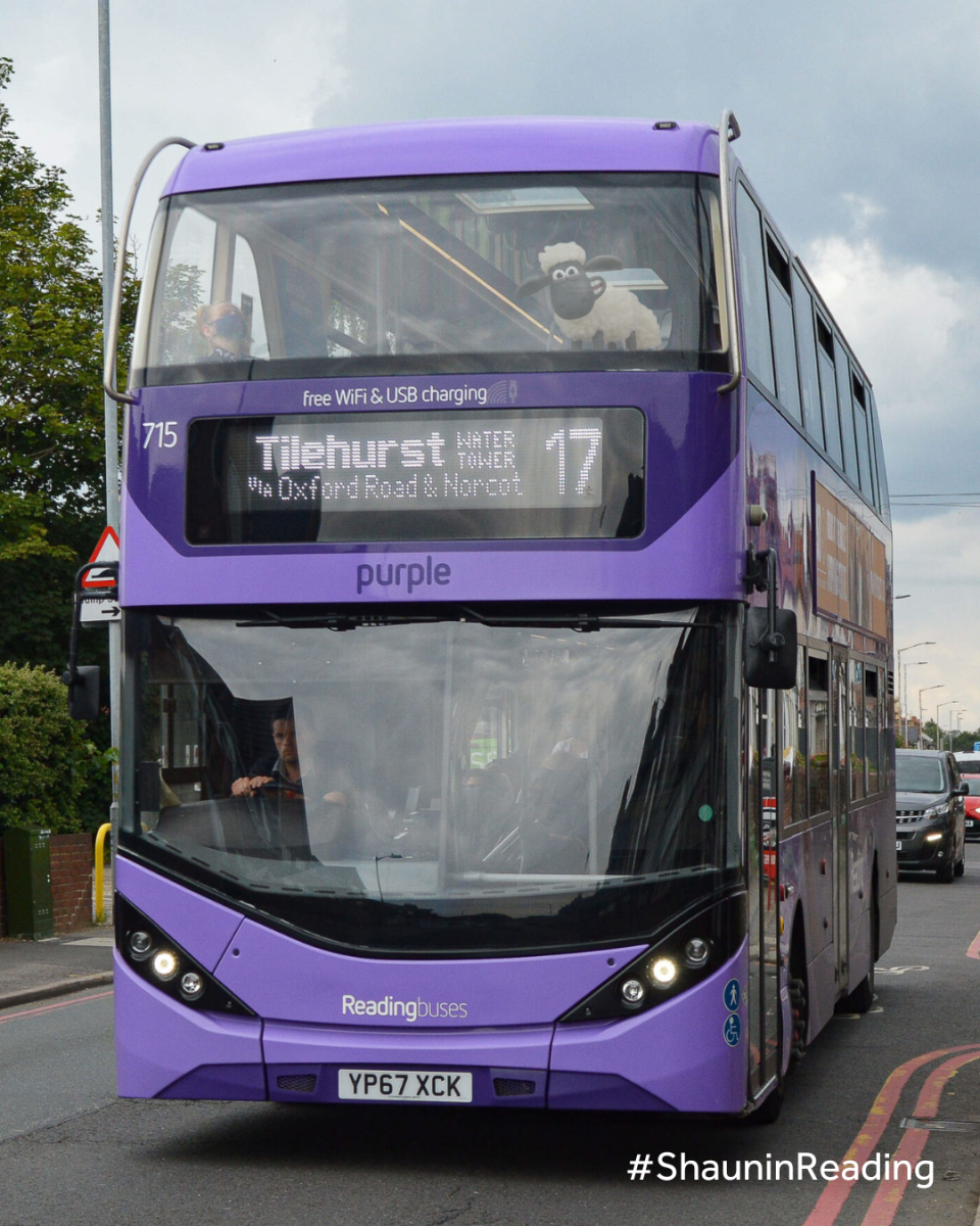 Purple 17 bus with Shaun the Sheep in the window
